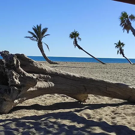 Vue Panoramique Wifi Gratuit Le Barcarès