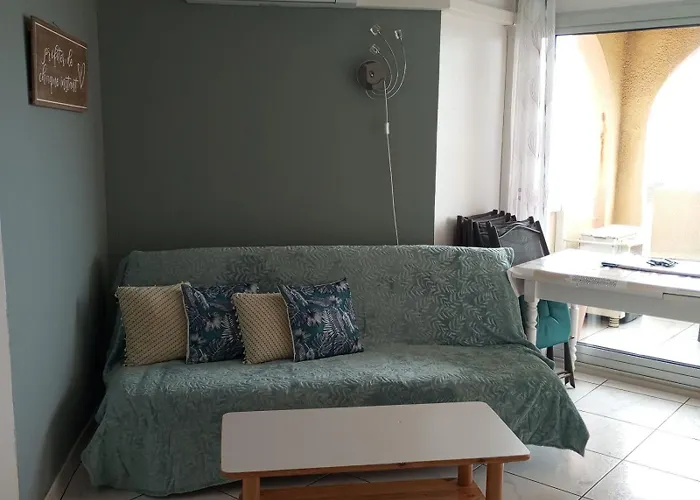 Vue Panoramique Wifi Gratuit * Le Barcarès